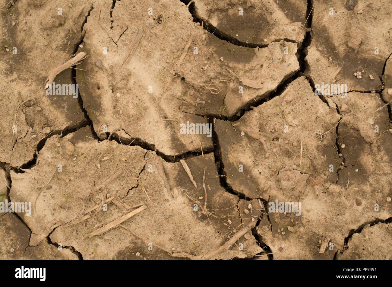 Cracked dry soil Stock Photo Alamy