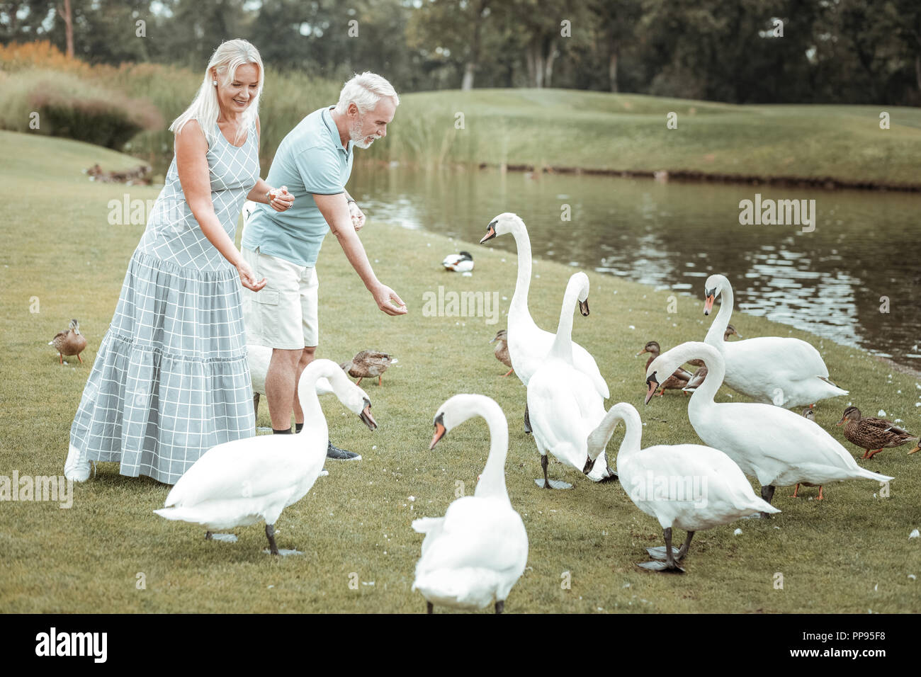 Positive delighted mature people feeding birds on bank Stock Photo Alamy