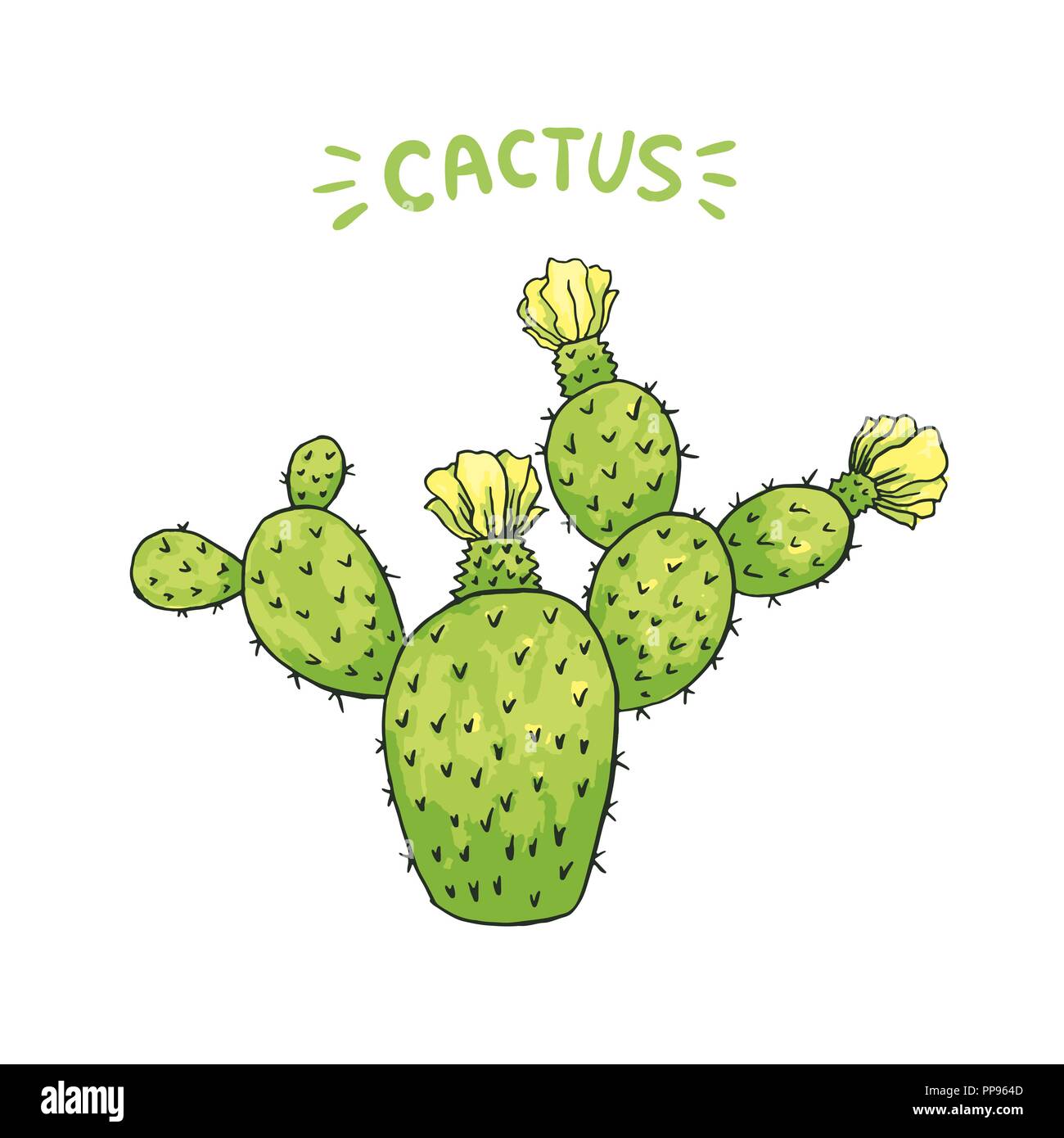 Mexican Cactus with Spines or Thorns and Flowers as Isolated Clipart for Cinco De Mayo Holiday or Celebration. Edible Esculent Cacti Like Saguaro, Indian Fig or Mammillaria. Latin theme Stock Vector