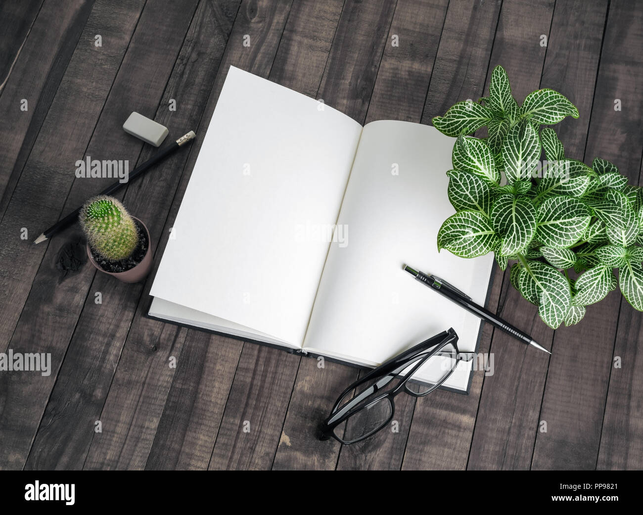 Blank open book, plants and stationery on wooden background. Responsive design mockup. Stock Photo