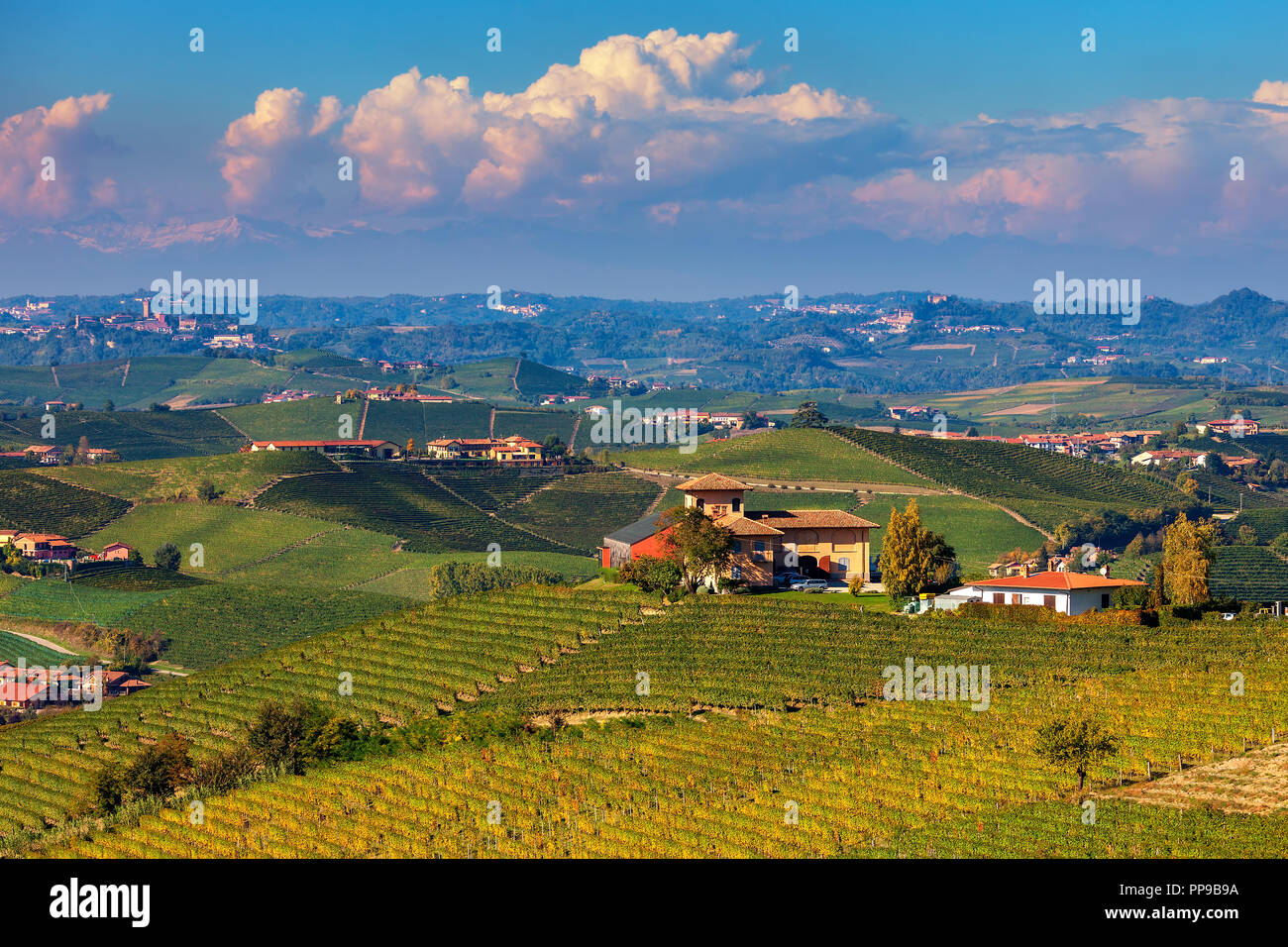 Rural house on the hill among autumnal vineyards in Piedmont, Northern Italy. Stock Photo