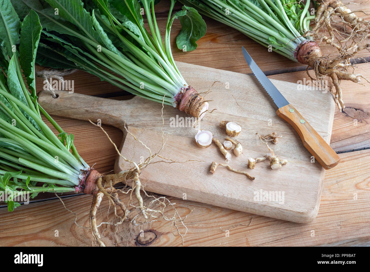 Cutup fresh evening primrose root on a cutting board Stock Photo Alamy