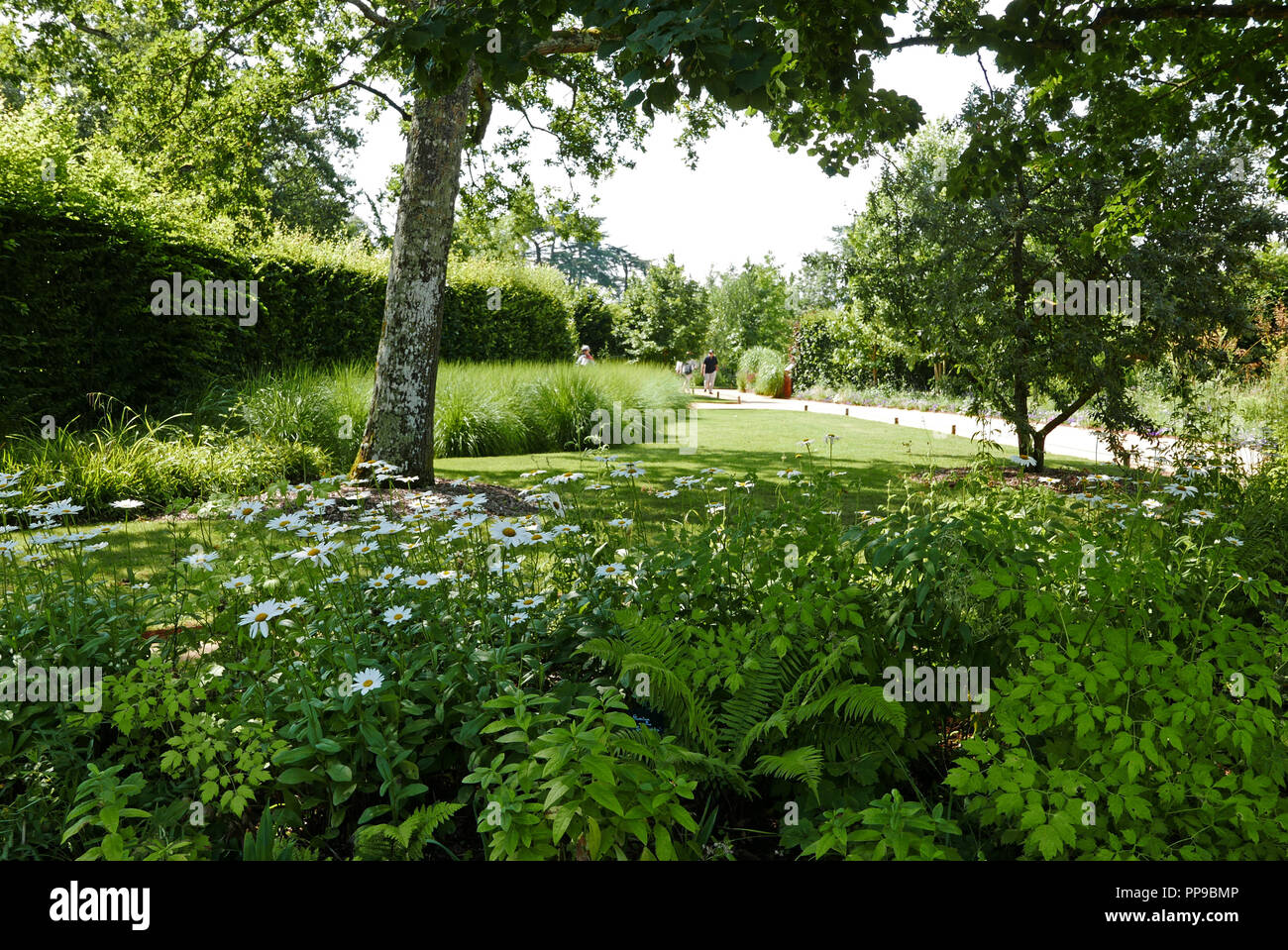 International Garden Festival, Domain of Chaumont-sur-Loire, Centre for arts and nature, Loire valley, Loir-et-Cher, Touraine, France, Europe Stock Photo