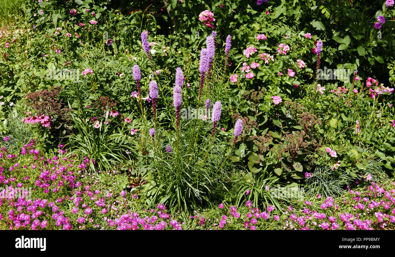 International Garden Festival, Domain of Chaumont-sur-Loire, Centre for arts and nature, Loire valley, Loir-et-Cher, Touraine, France, Europe Stock Photo