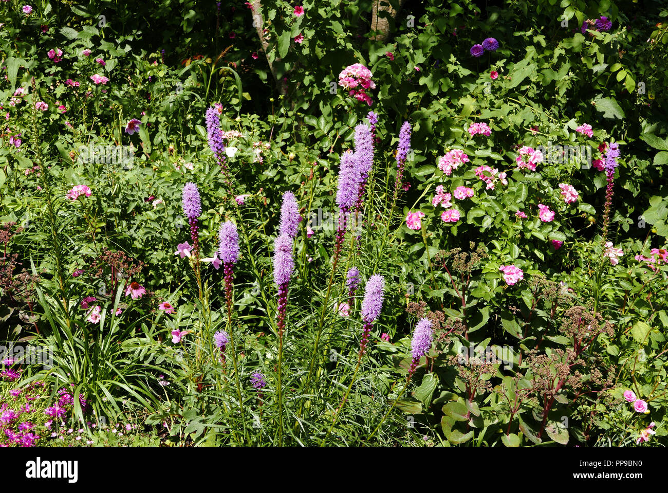 International Garden Festival, Domain of Chaumont-sur-Loire, Centre for arts and nature, Loire valley, Loir-et-Cher, Touraine, France, Europe Stock Photo