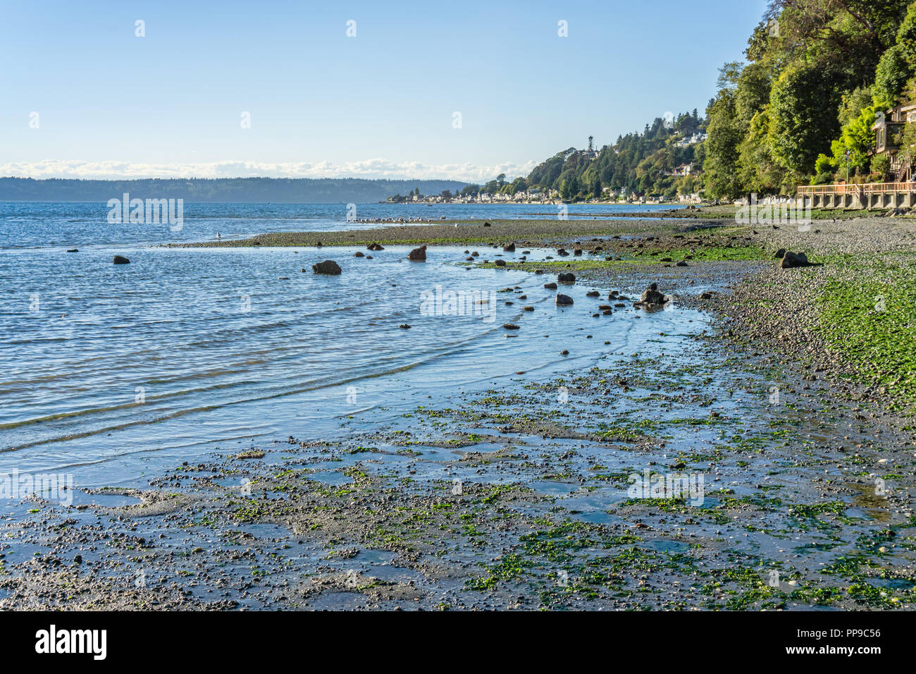 A view of the shoreline at Normandy Park, Washington with Three Tree