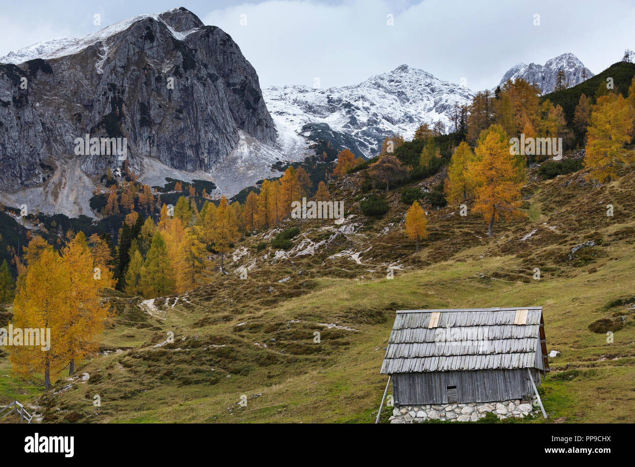 Colorful Alpine Meadow And Barn Below Misty Mountains Colorful Alpine Meadow And Barn Below Misty Mountains