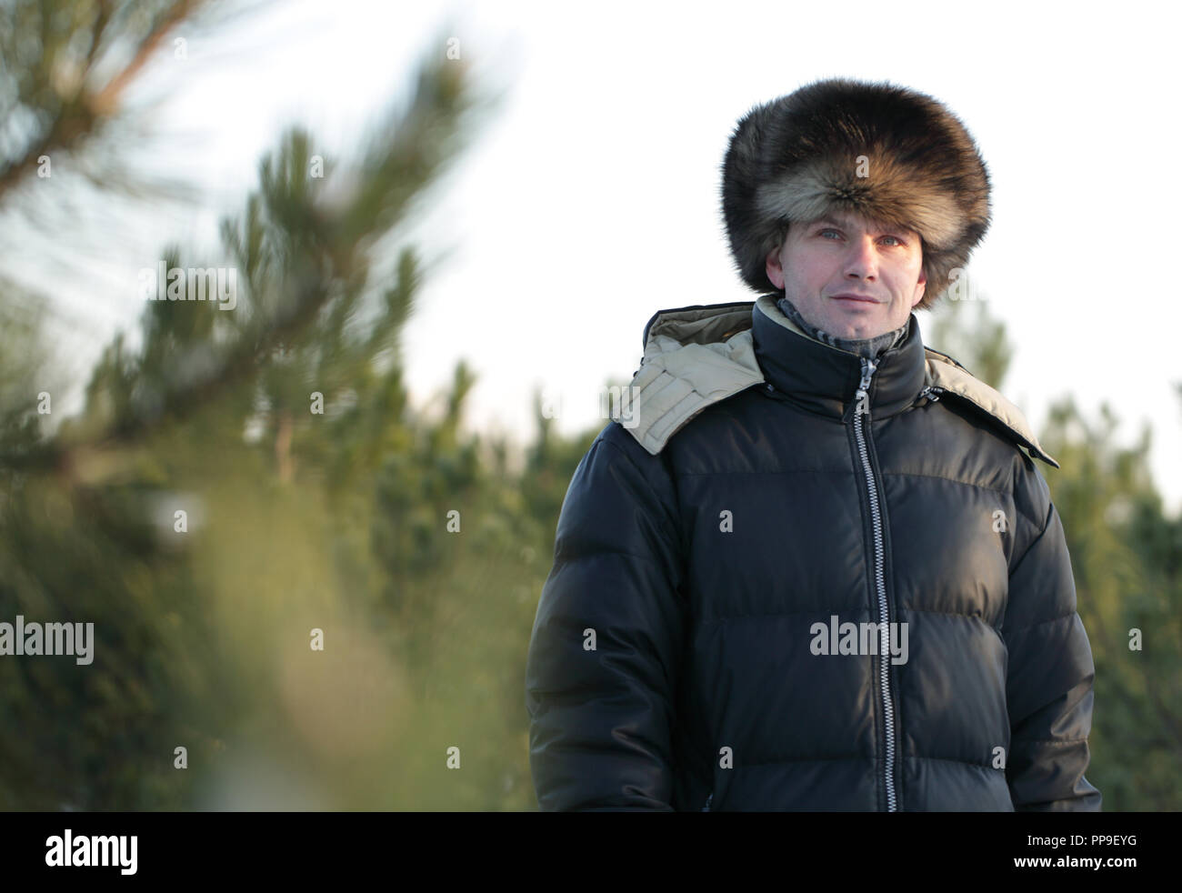 Russian man in winter clothes and Russian fur hat  in a pine forest Stock Photo