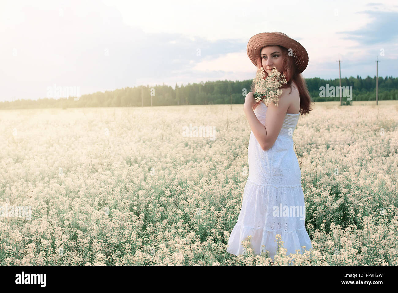 Girl in white dress in a field of yellow flowers blossoming Stock Photo ...