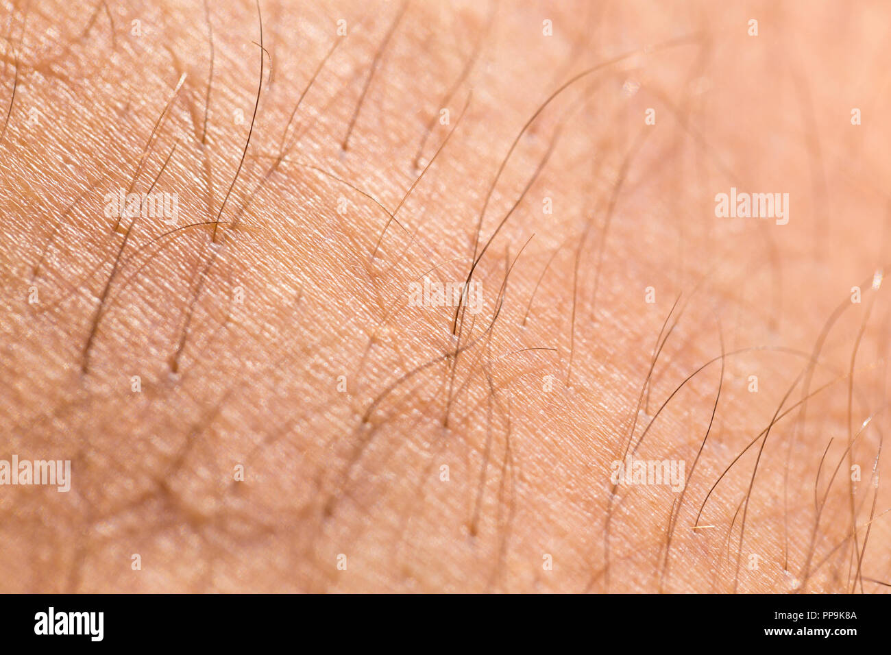 detail of human skin with hair, close-up Stock Photo