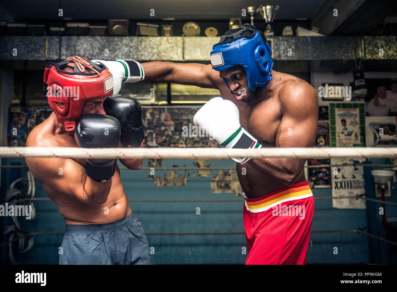 Boxer Mean Boxers fighting in a gym Stock Photo - Alamy