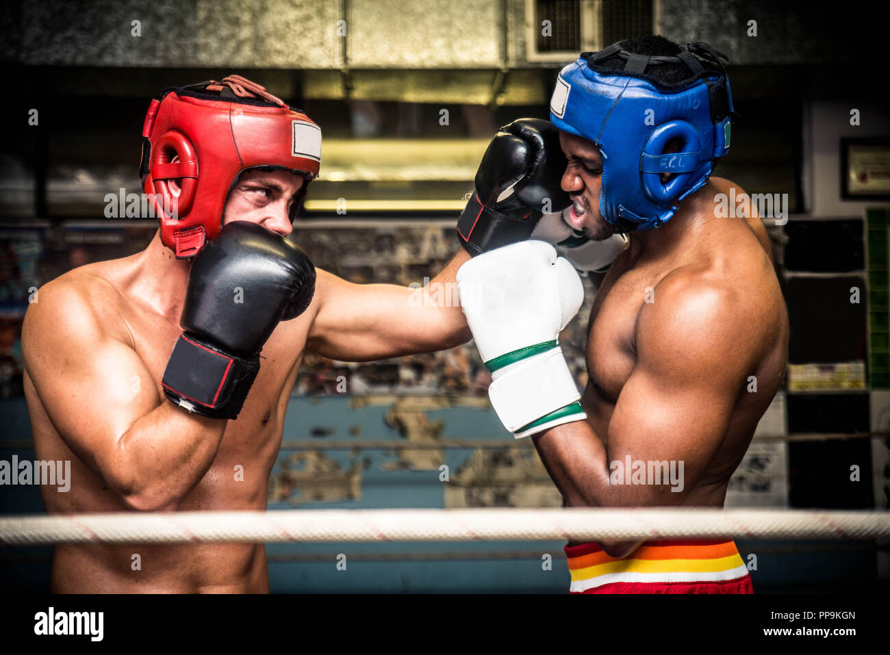 Тренер в перчатках. Understand boxing. Understand boxing. Спарринг. Стенд бокс.