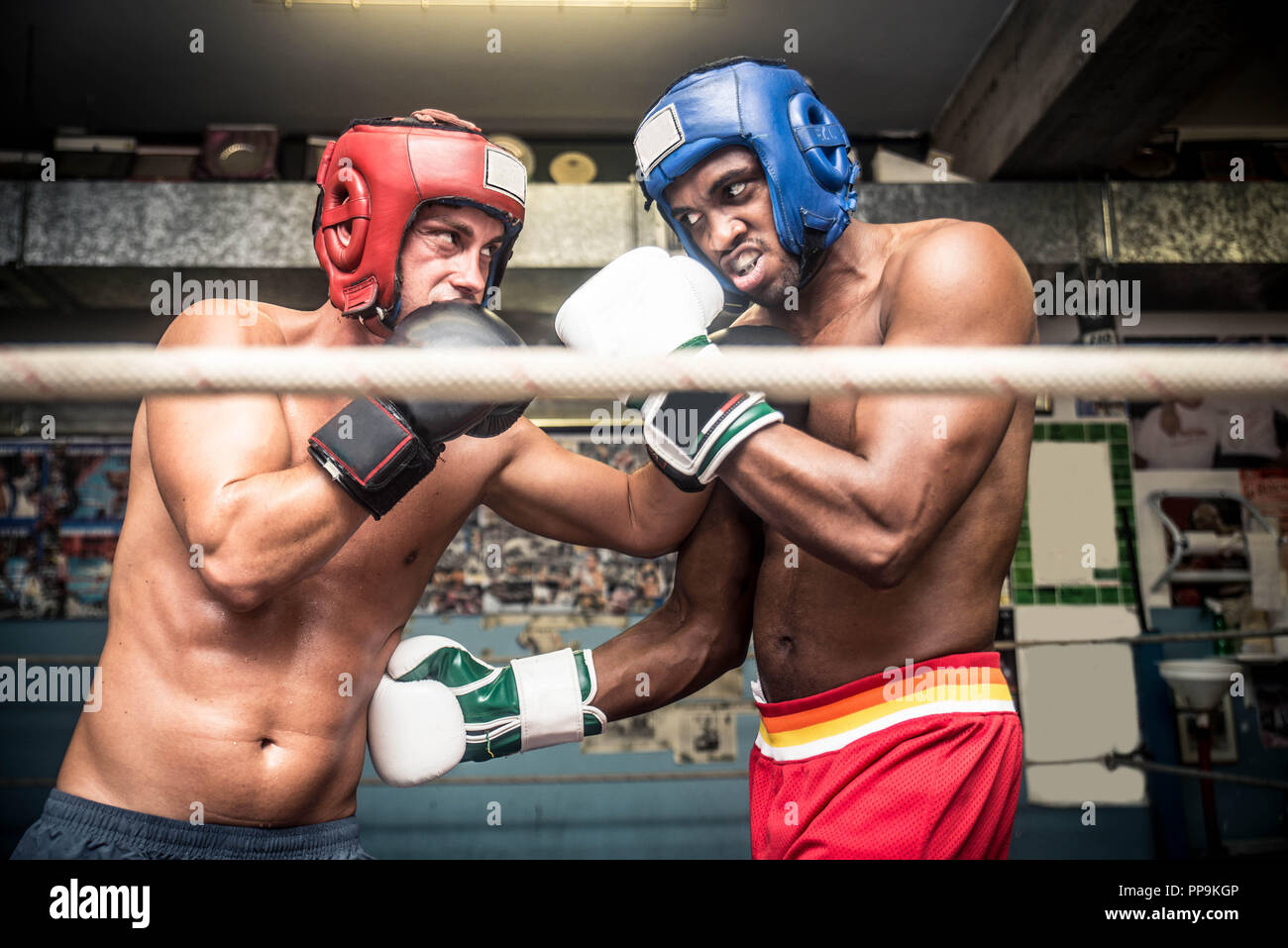 Boxer Mean Boxers fighting in a gym Stock Photo - Alamy