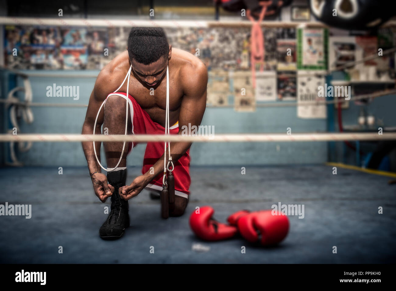 Boxers fighting in a gym Stock Photo Alamy