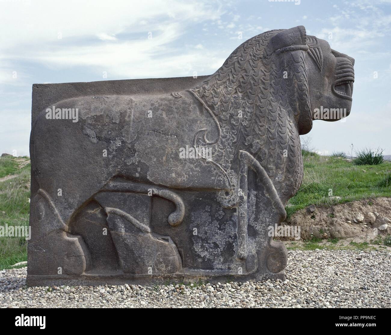 Neo-Hittite. Colossal basalt lion found in 1955. Ain Dara Temple. Syria. Stock Photo