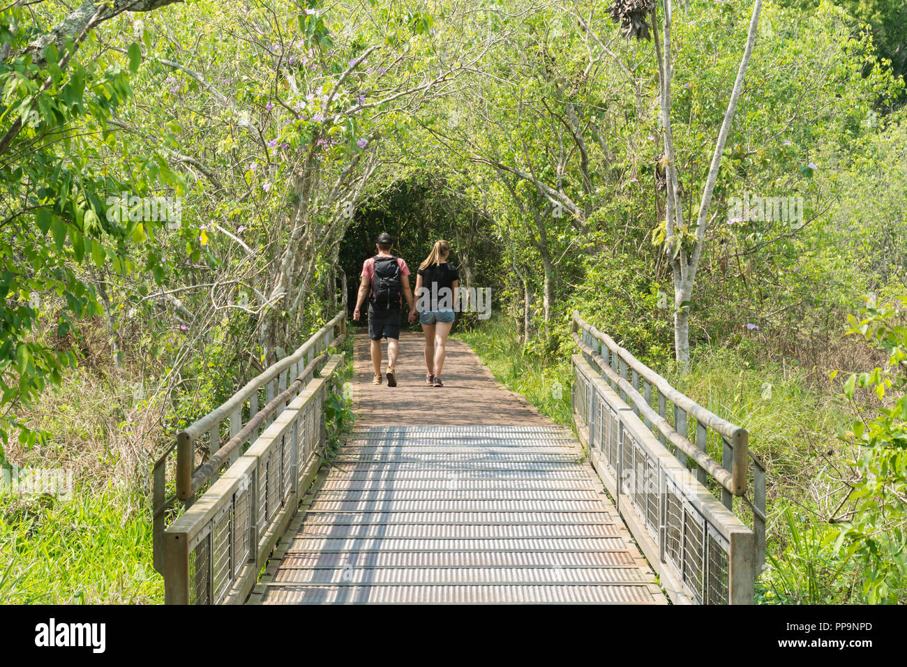 Tourists walk on a path through the jungle at Iguazu National Park, Argentina, South America Stock Photo