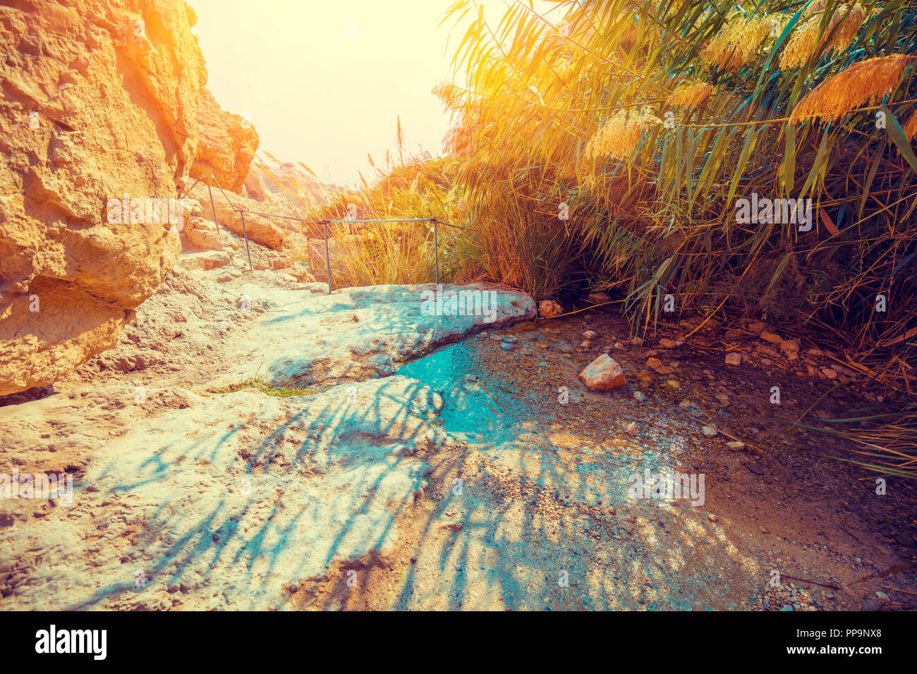 Oasis in the desert. Path to the David Waterfall. Ein Gedi reserve, Israel Stock Photo