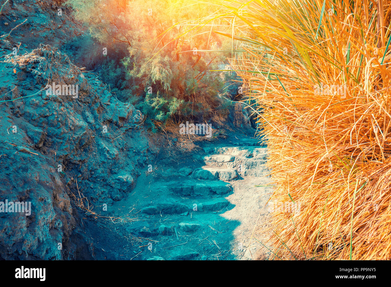 Oasis in the desert. Path to the David Waterfall. Ein Gedi reserve, Israel Stock Photo