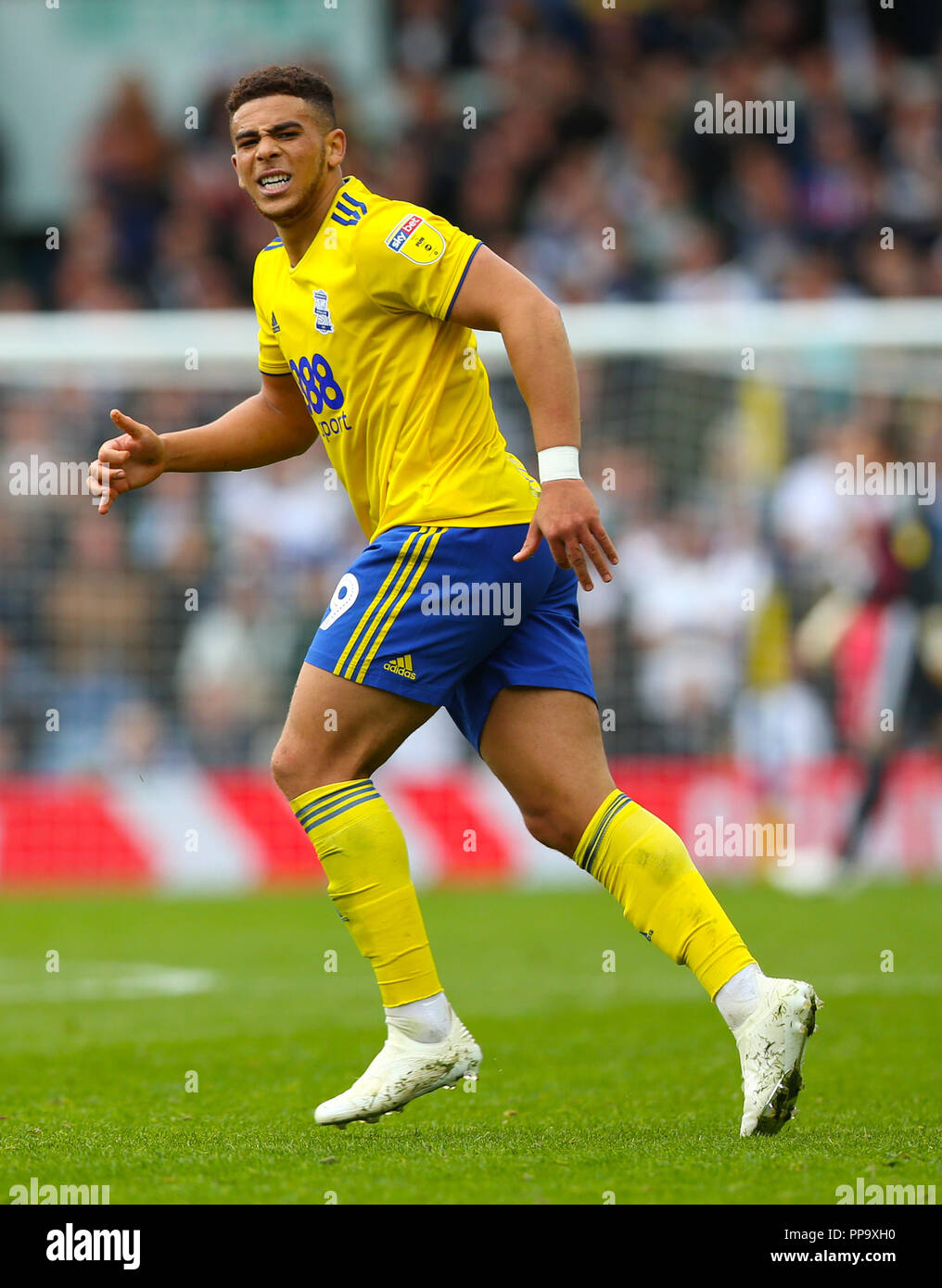 Birmingham City's Che Adams Stock Photo - Alamy