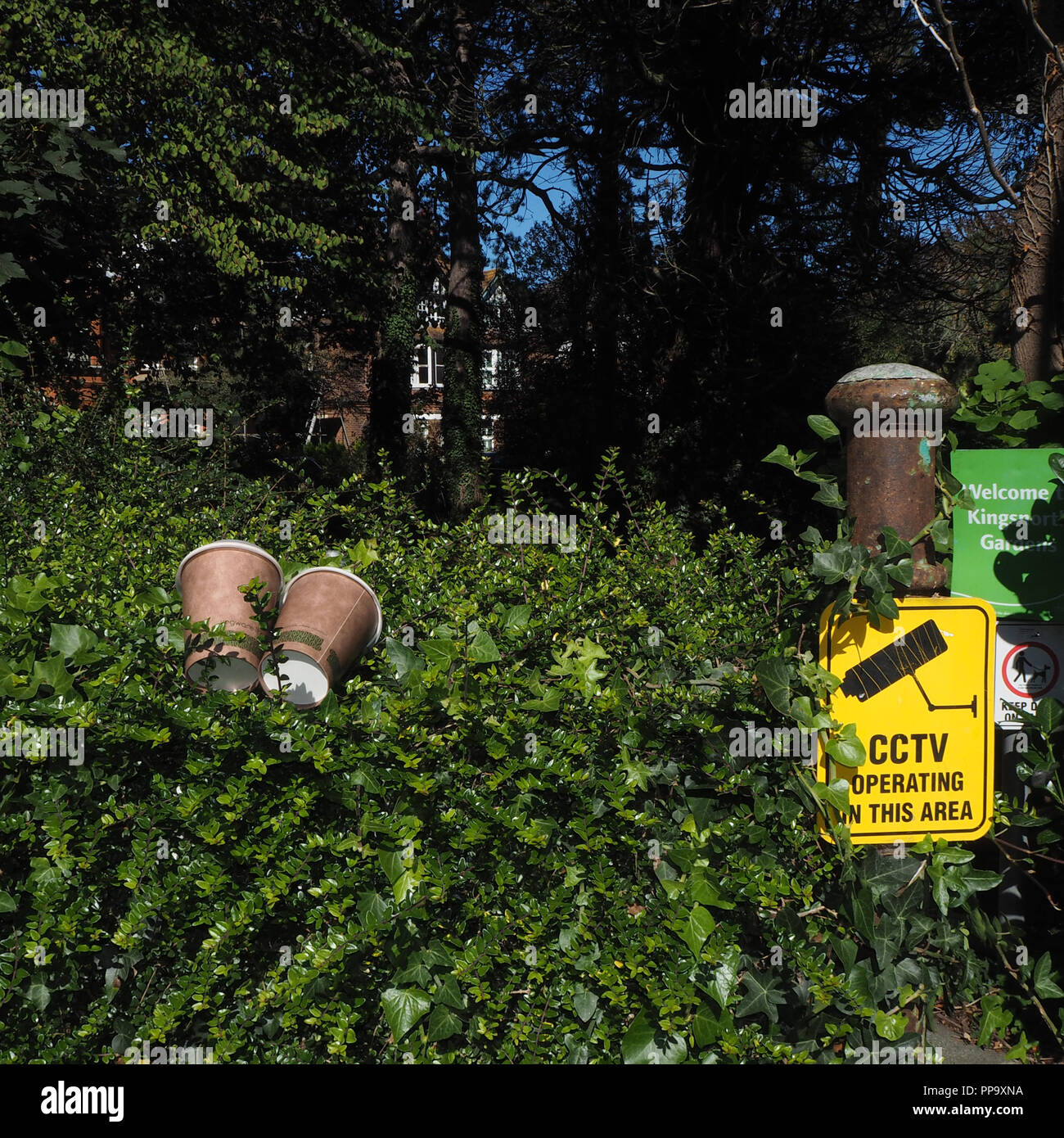 Rubbish glasses hires stock photography and images Alamy