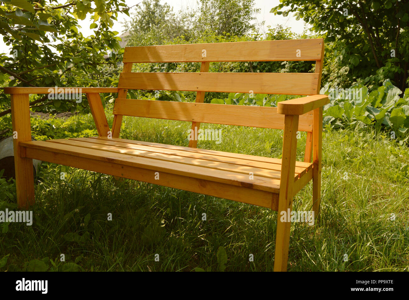 Wooden Bench In Summer Garden For Patio Design Natural Wood