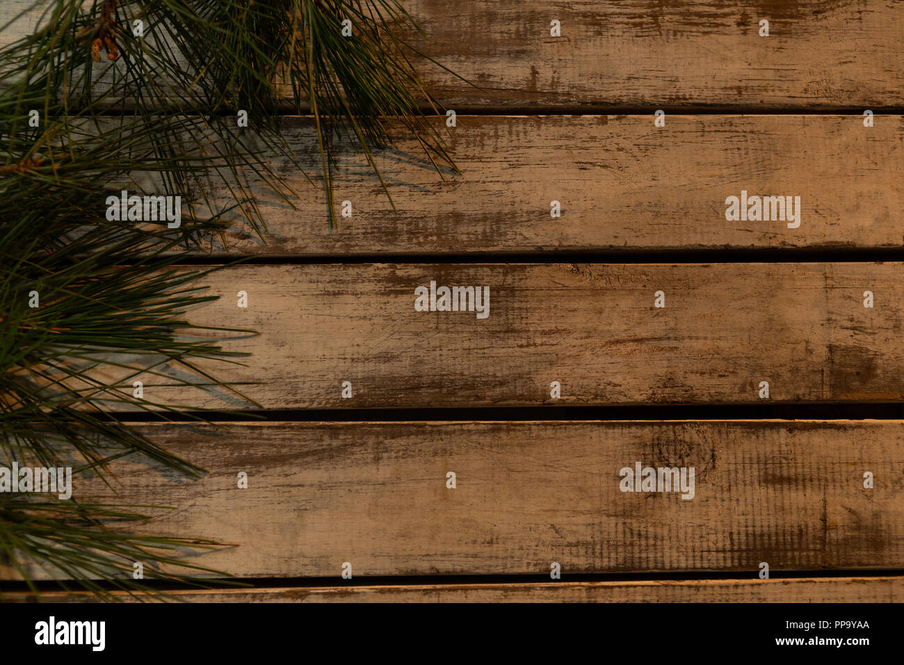 How to use pine branches hires stock photography and images Alamy