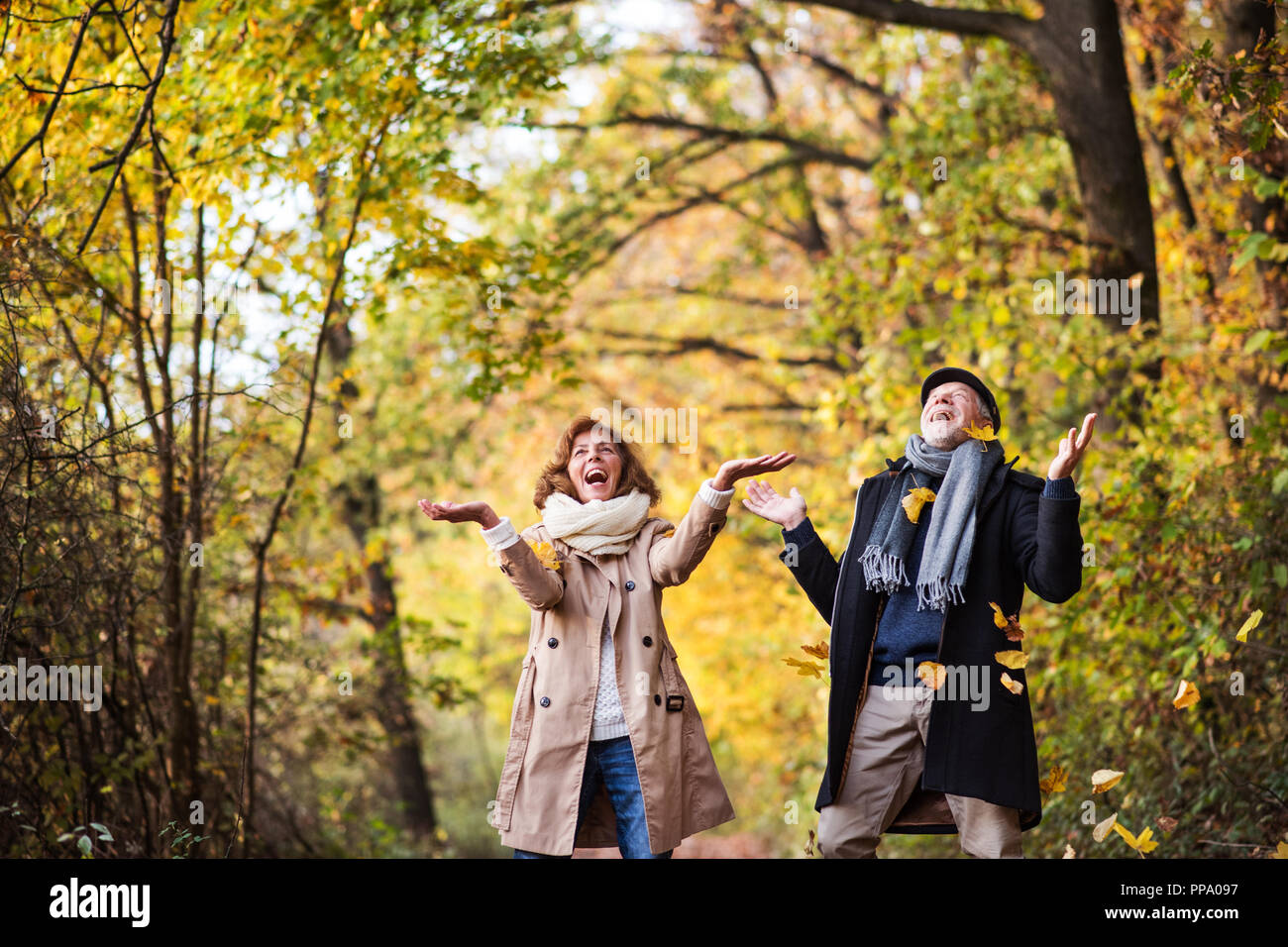 Senior couple on a walk in a forest in an autumn nature, throwing ...