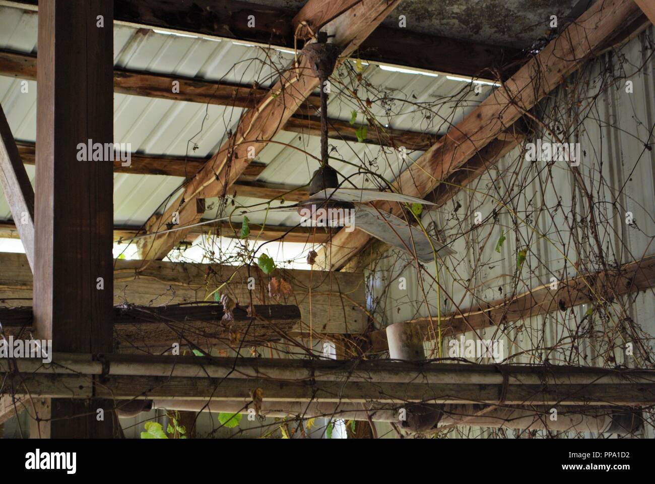 Broken Fan Stock Photos Broken Fan Stock Images Alamy