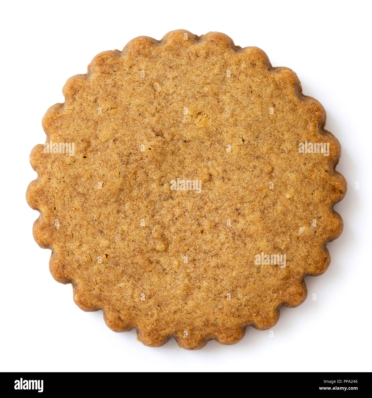 Single round gingerbread biscuit isolated on white from above. Serrated edge. Stock Photo