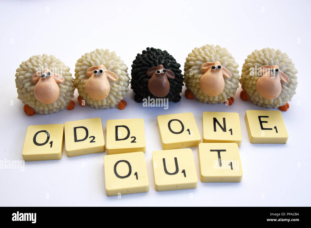 Black sheep among white sheep. Ethnic minority. Odd one out. Lonely