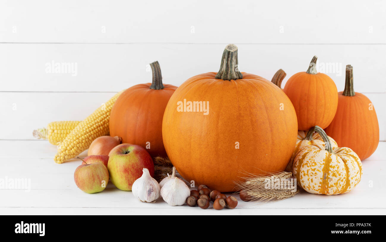Autumn harvest still life with pumpkins , apples , hazelnut , corn ...
