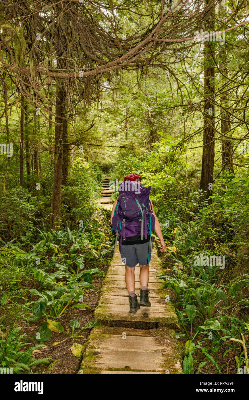 Middle age woman hiking, Cape Alava Trail, temperate rain forest, near Cape Alava, Pacific Coast, Olympic National Park, Washington state, USA Stock Photo