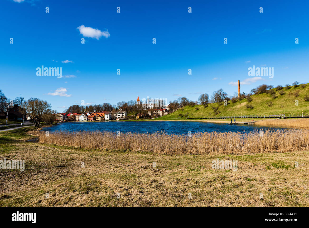 lake shore with grass and trees in spring countryside scene. high water ...