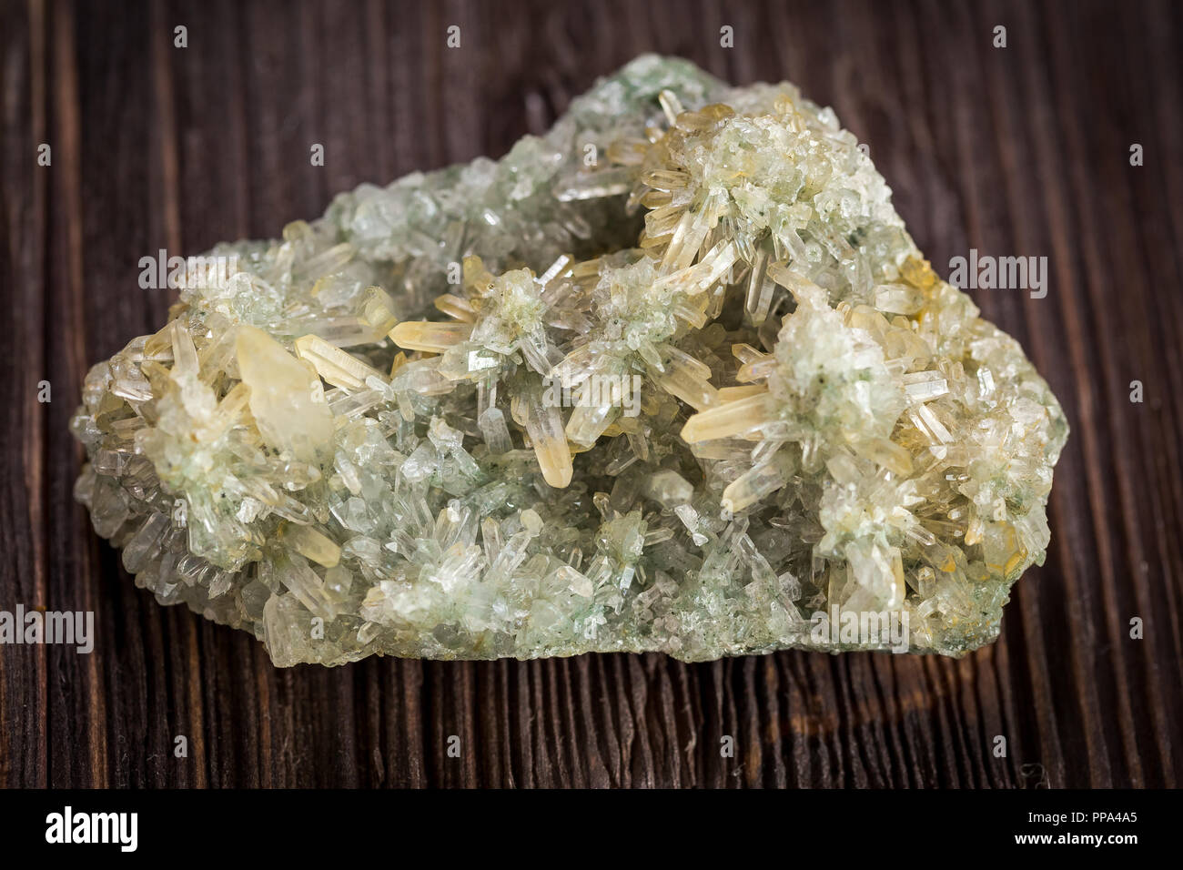 Druse green crystals of quartz on a dark wooden background Stock Photo