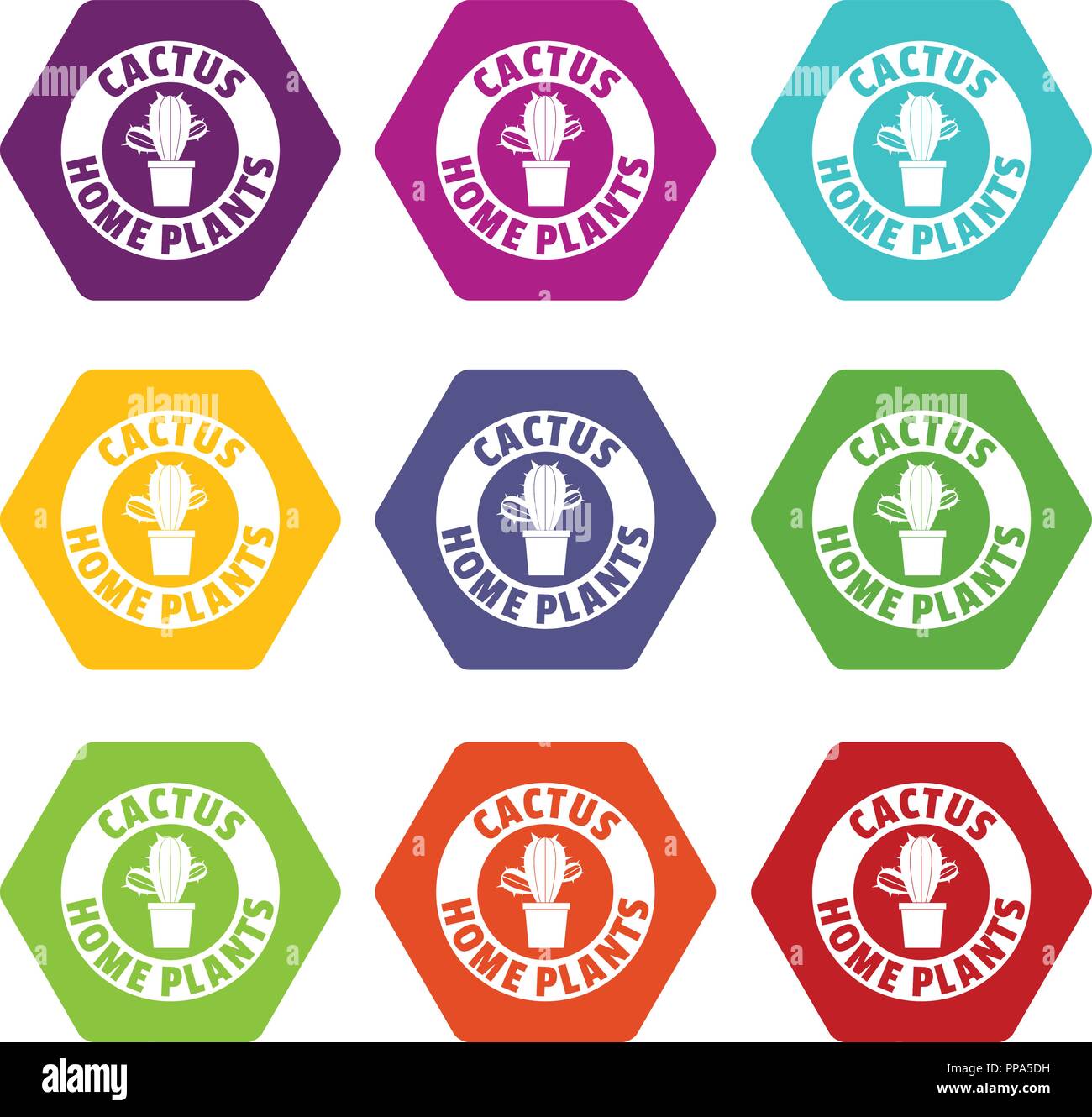 Botanical cactus icons set 9 vector Stock Vector Image & Art - Alamy