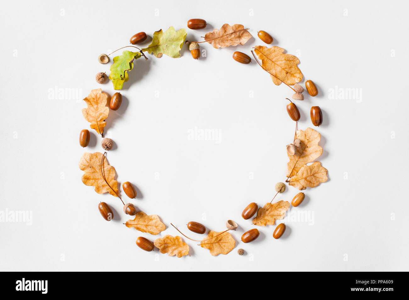 Oak leaf wreath hi-res stock photography and images - Alamy