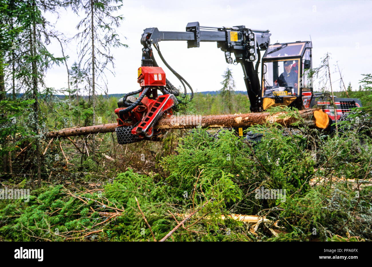 Old Growth Forest Being Cut by Forest And Park Services, Valtimo, Nurmes, Finland. Stock Photo