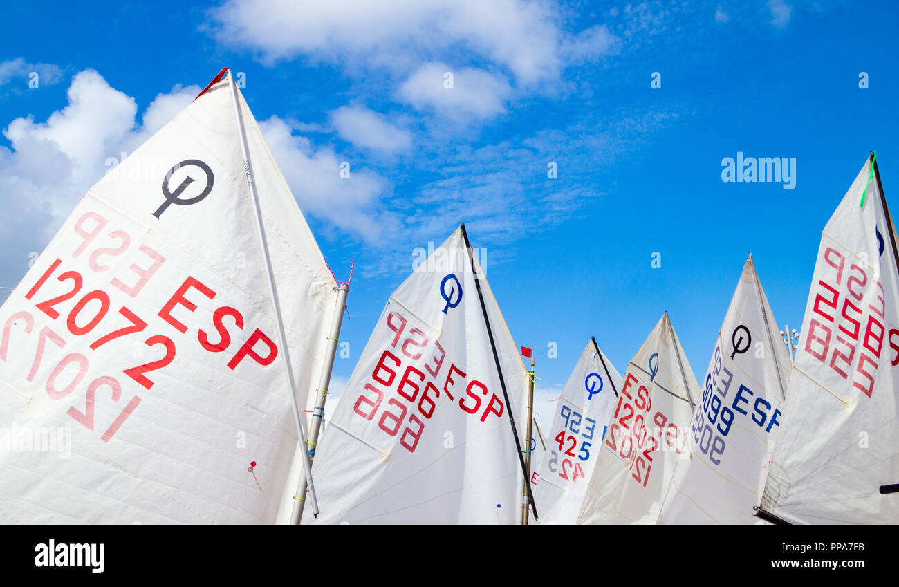 Optimist class dinghies at kids competition in Spain. Stock Photo