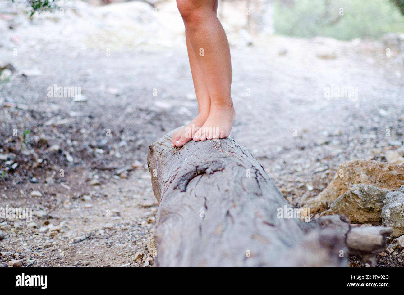 hippies girl walking barefoot on a large stump Stock Photo
