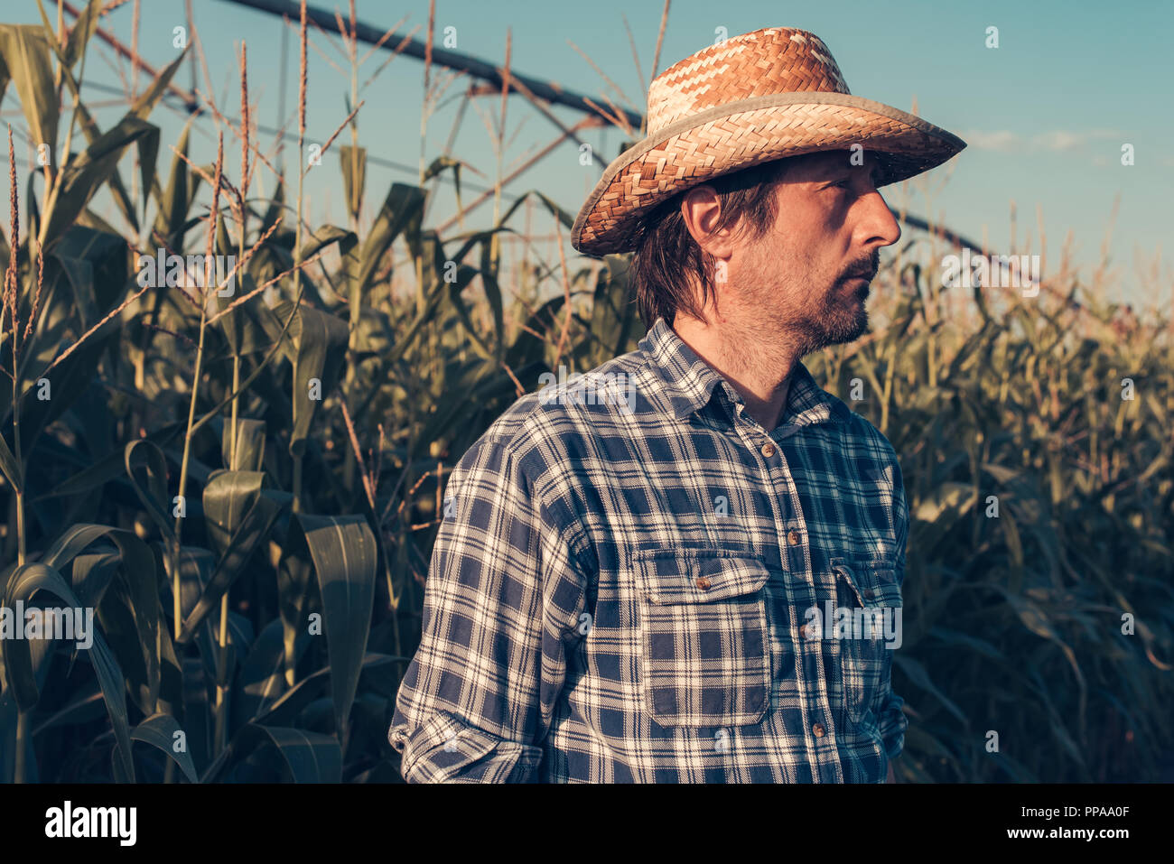Portrait of serious agronomist in corn field, looking confident and determined Stock Photo