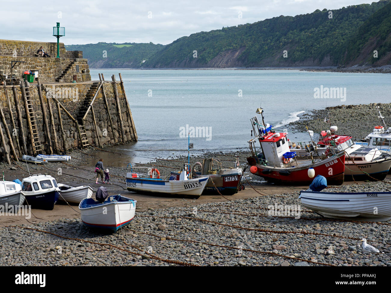 The harbour, Clovelly fishing village, Devon, England UK Stock Photo