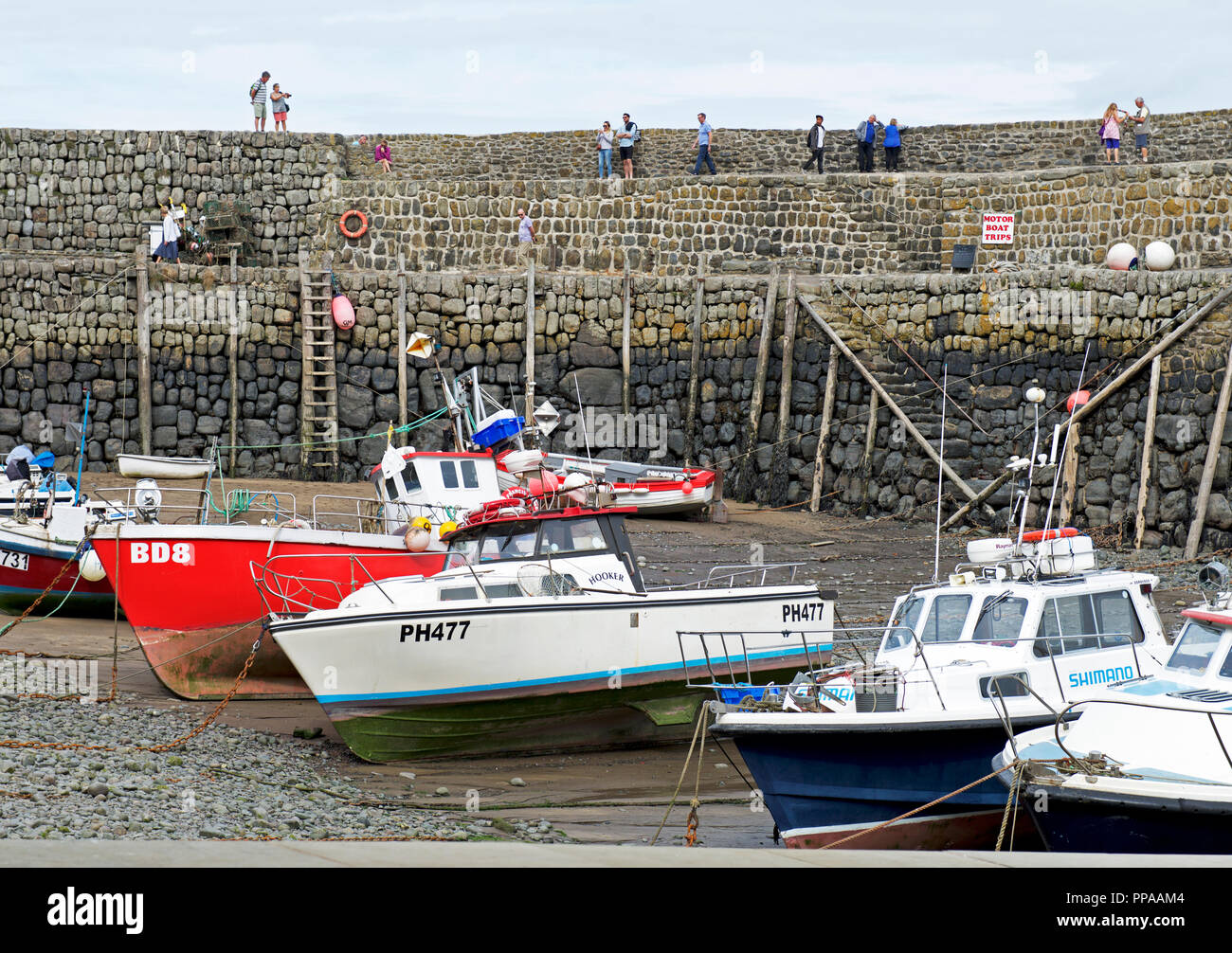 The harbour, Clovelly fishing village, Devon, England UK Stock Photo