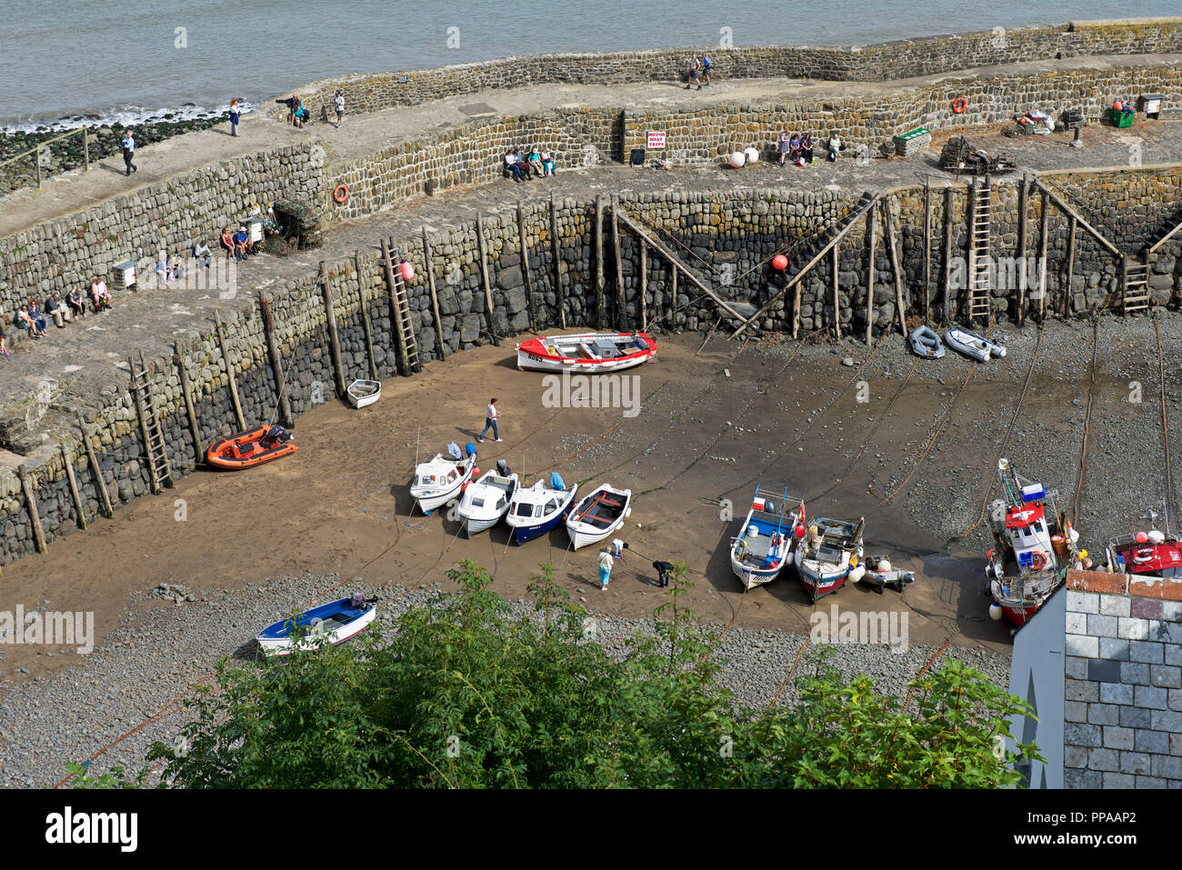 The harbour, Clovelly fishing village, Devon, England UK Stock Photo