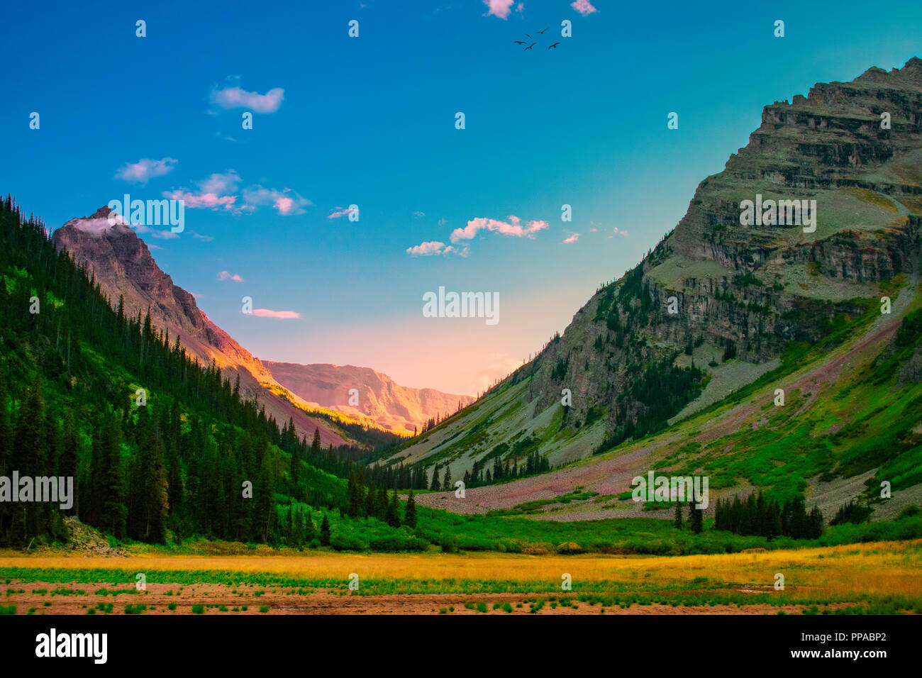 Pine Valley Mountain Utah Wilderness Stock Photos Pine Valley