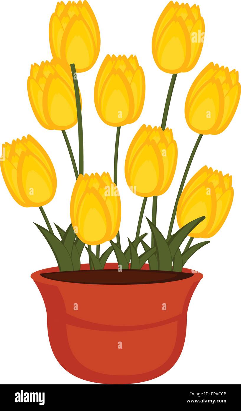 Isolated flower pot with tulip flowers Stock Vector Image & Art Alamy