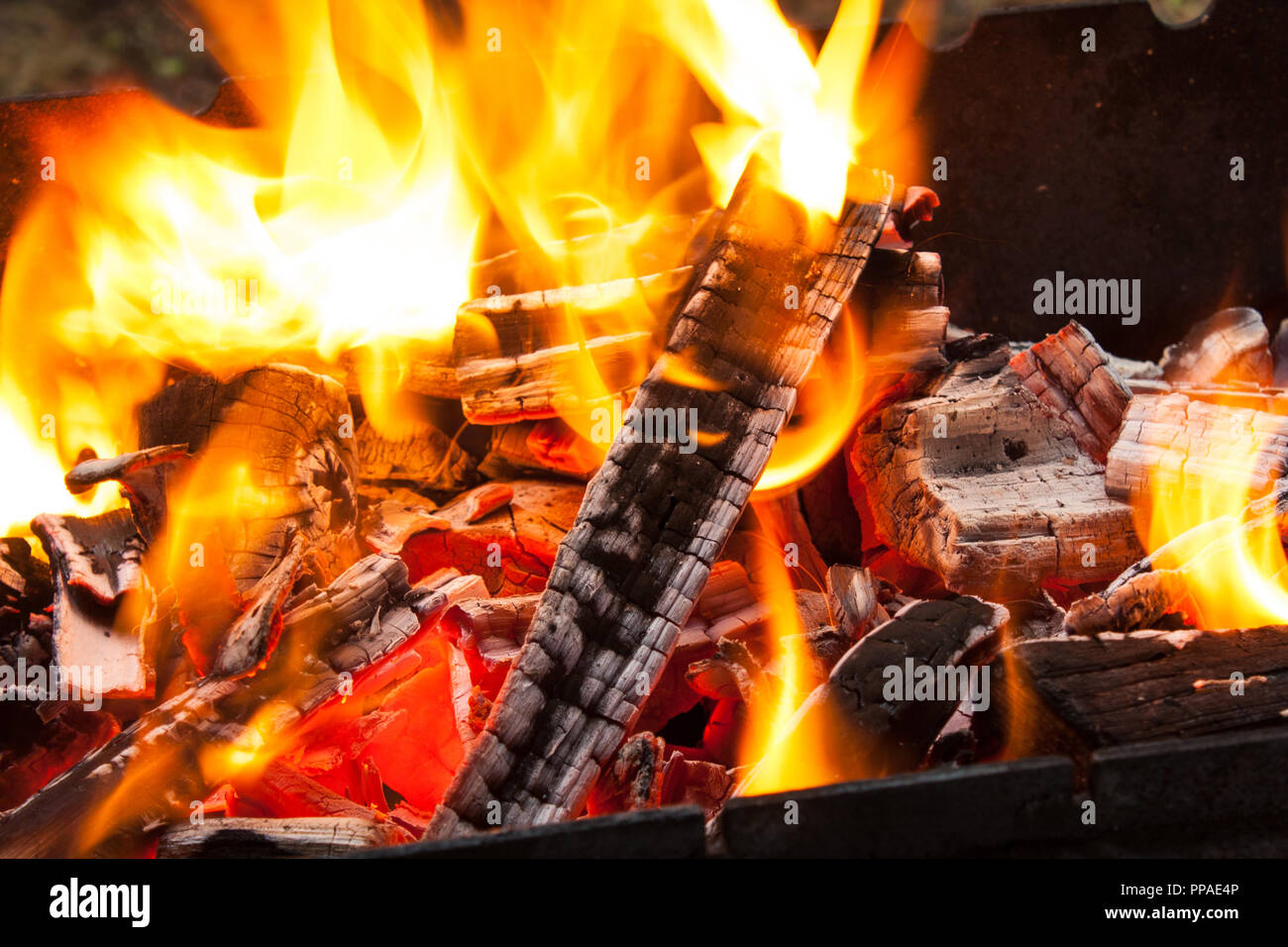 Flames In A Fire Pit With Glowing Embers Stock Photo 220277478
