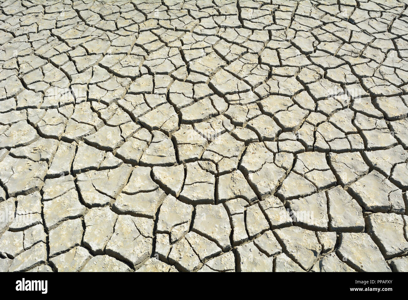 Cracked Dry Ground, Saintes-Maries-de-la-Mer, Carmague, Provence Alpes Cote d Azur, Bouches du Rhone, France Stock Photo