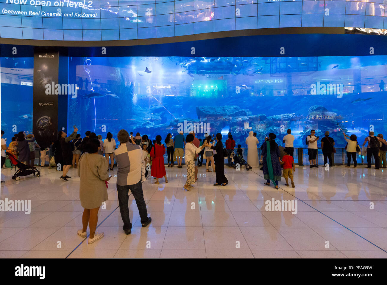 Dubai aquarium mall hires stock photography and images Alamy