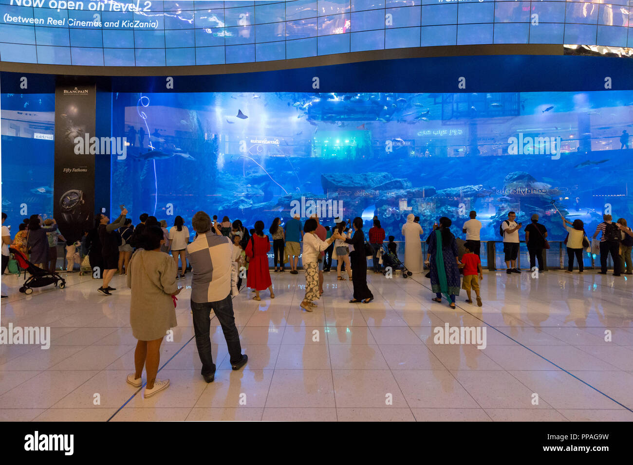 Dubai Mall Aquarium Stock Photo