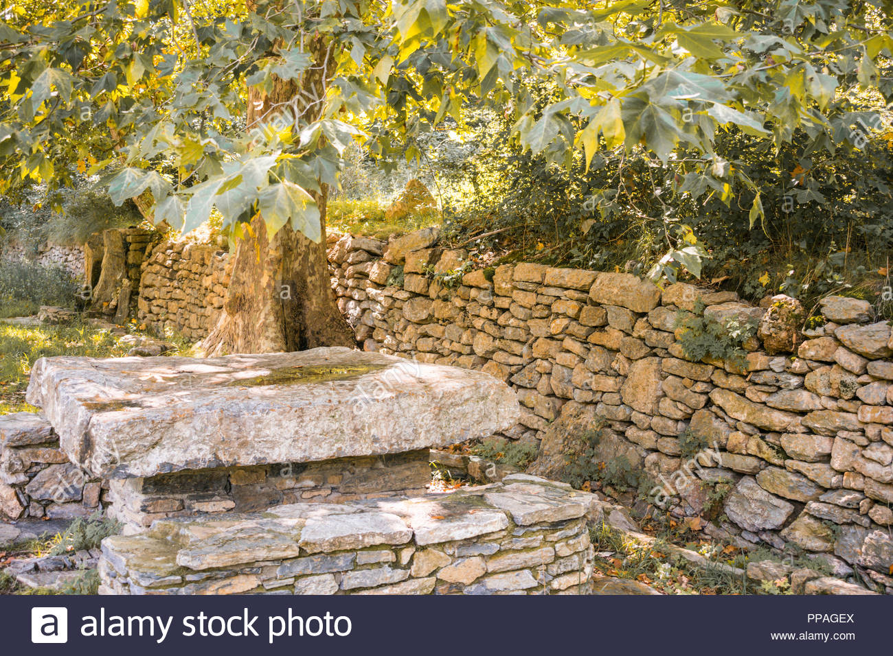 Stone Table And Bench In An Old Country Garden Stock Photo